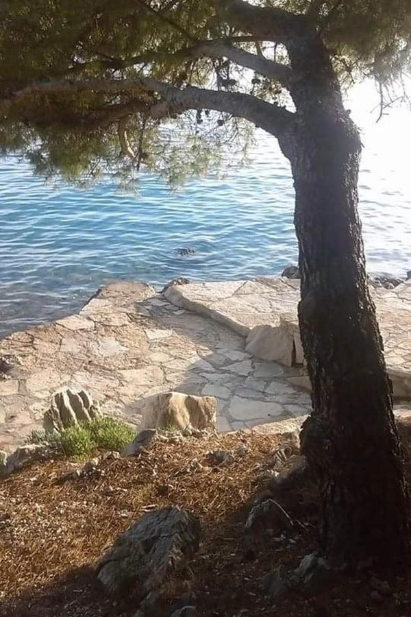Apartments By The Sea Drage, Biograd - 19189 Pakoštane Dış mekan fotoğraf